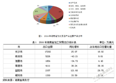 湖南省加工贸易存在的问题与对策分析