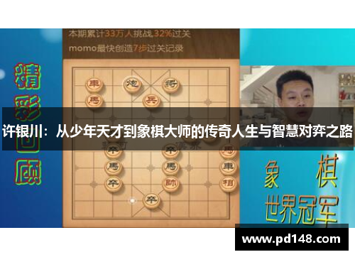 许银川：从少年天才到象棋大师的传奇人生与智慧对弈之路